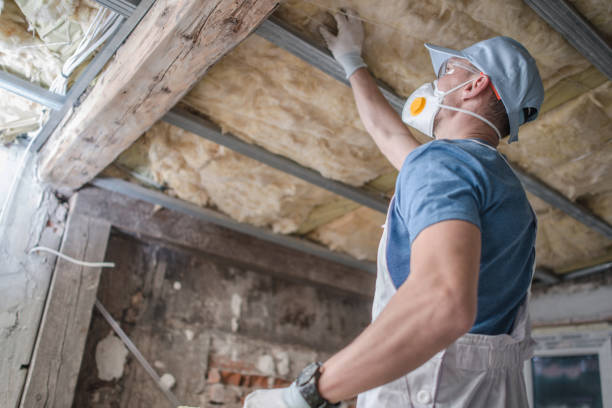 Best Eco-Friendly Insulation in Johnsburg, IL